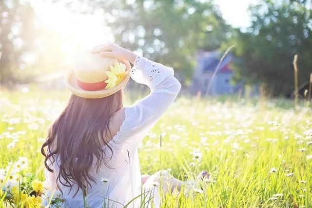 Garten und Balkon insektenfreundlich gestalten