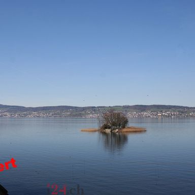 Wohnen gegenüber der Insel Schönenwerd